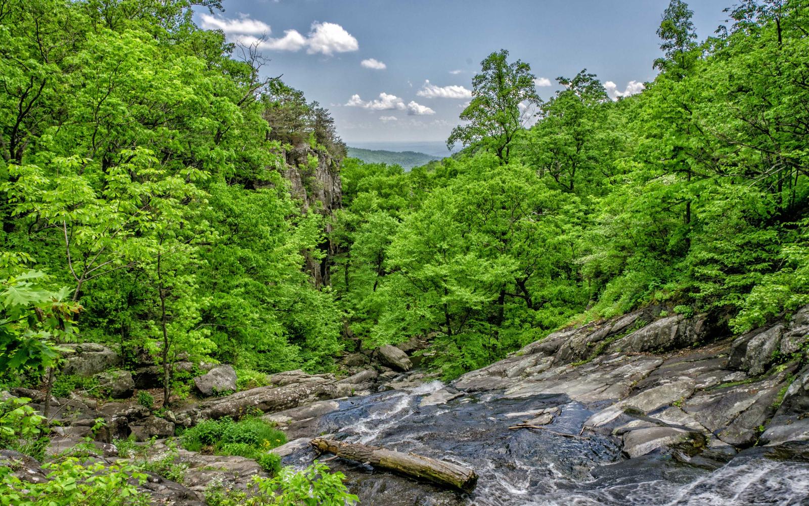 Handlebar reach adjustment