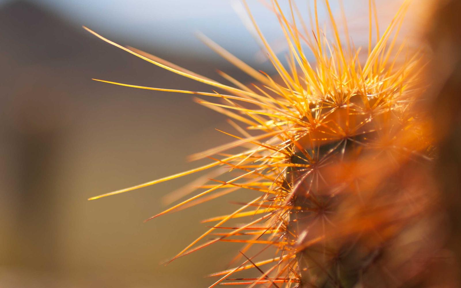 Tasting event table with bikes